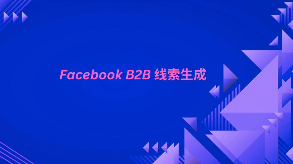 Facebook B2B 线索生成