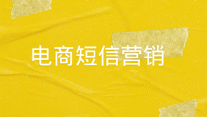 电商短信营销