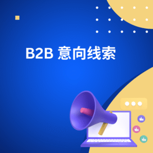 B2B 意向线索