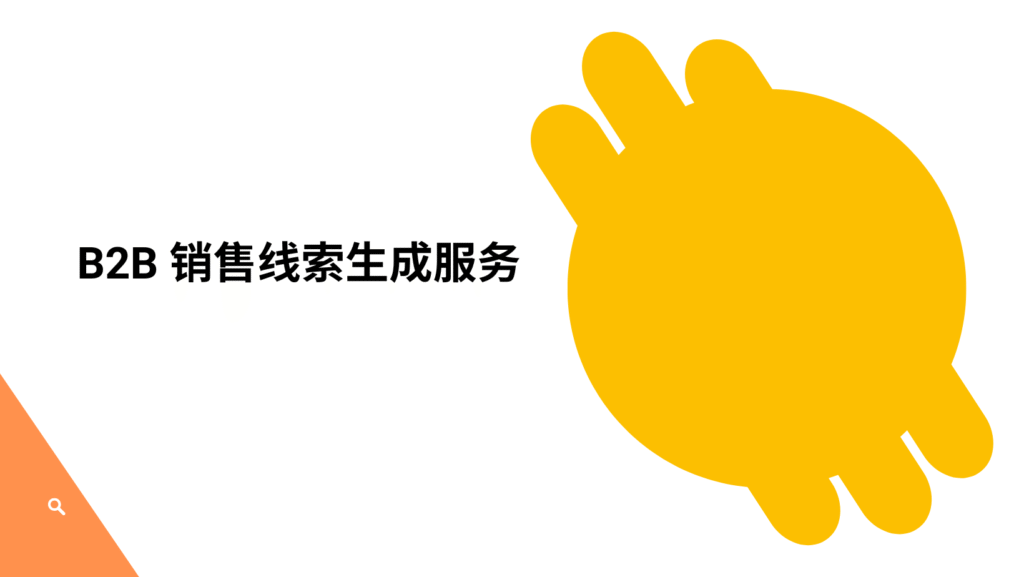 B2B 销售线索生成服务