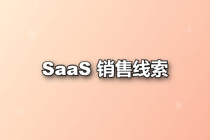 SaaS 销售线索