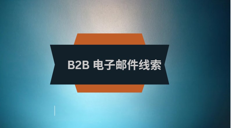 B2B 电子邮件线索
