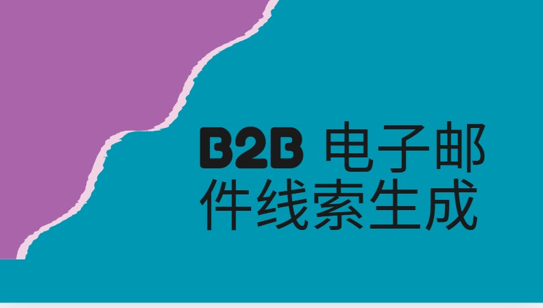 B2B 电子邮件线索生成